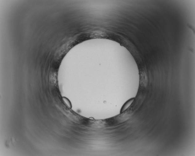 X0000103480621200810241039