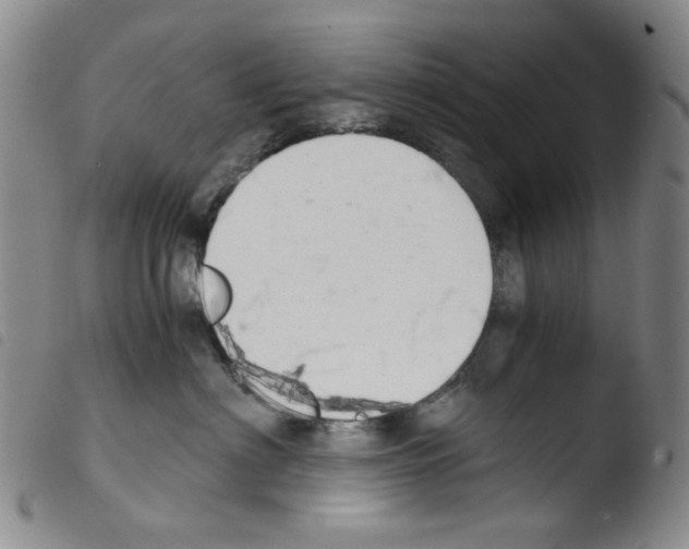 X0000103480622200810241039