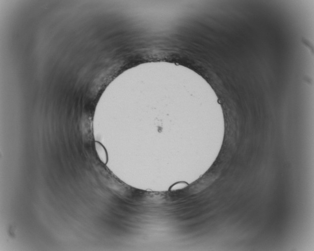 X0000103480624200810241039
