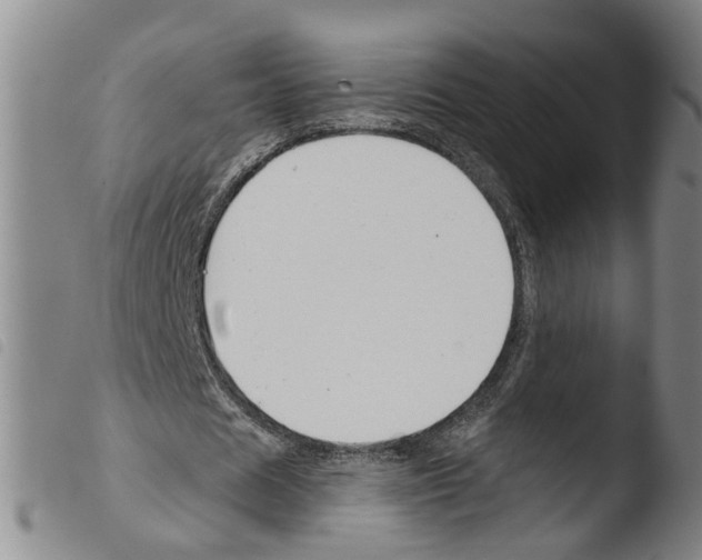 X0000103480625200810241039