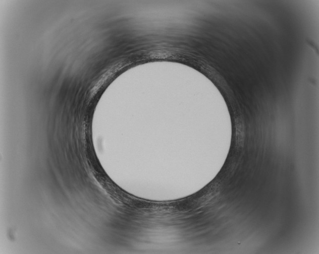 X0000103480626200810241039