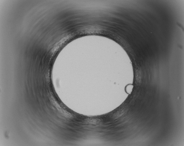X0000103480629200810241039