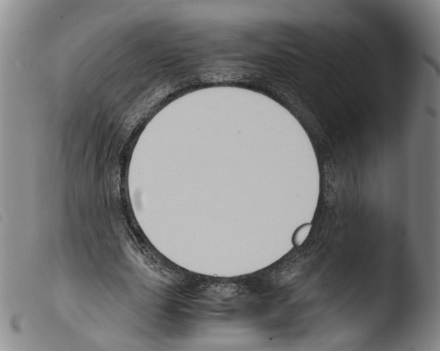 X0000103480631200810241039