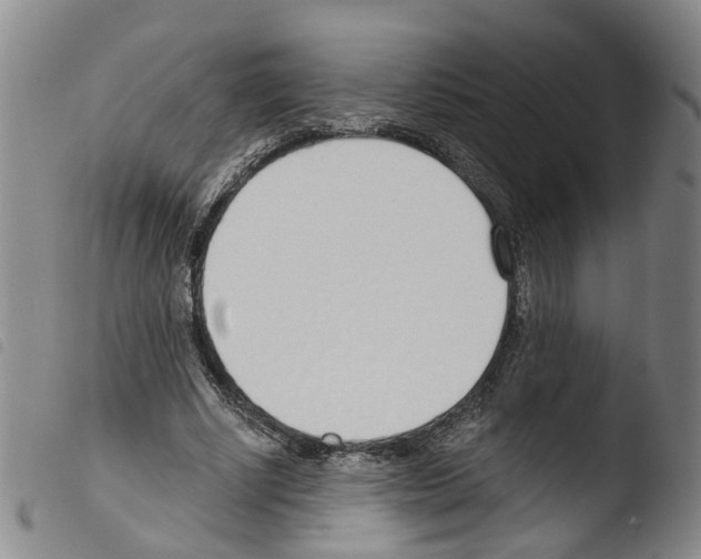 X0000103480634200810241039