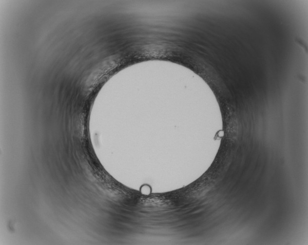 X0000103480635200810241039