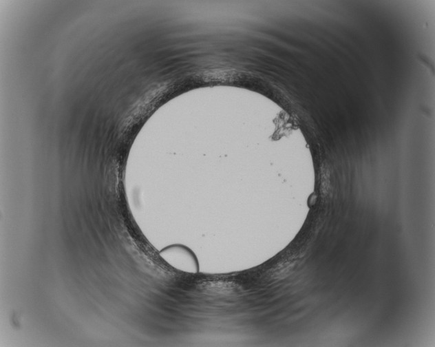 X0000103480637200810241039