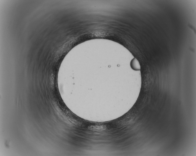 X0000103480639200810241039