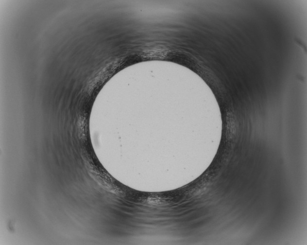 X0000103480641200810241039