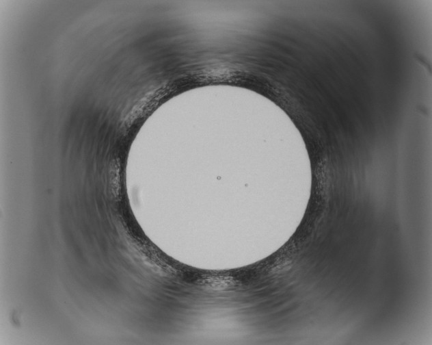 X0000103480642200810241039