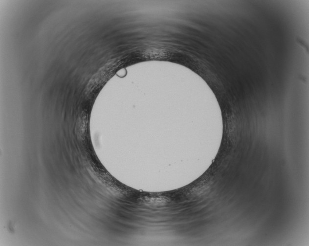 X0000103480645200810241039