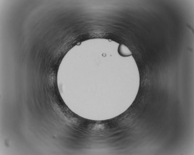 X0000103480647200810241039