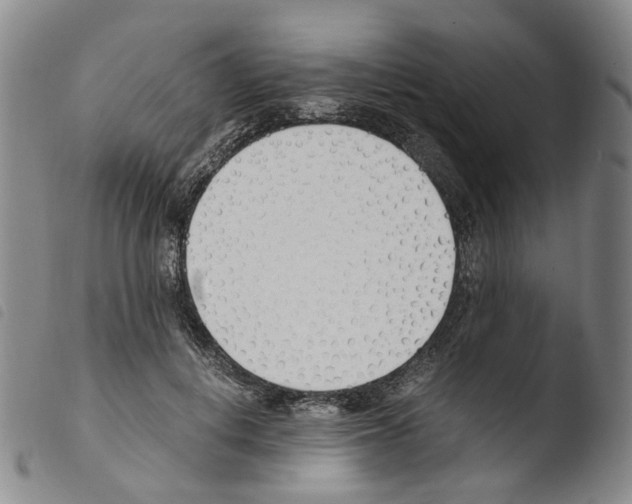 X0000103480648200810241039