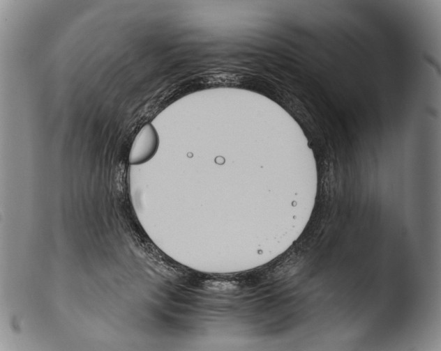 X0000103480649200810241039