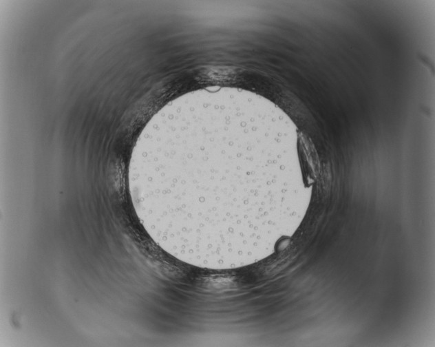 X0000103480651200810241039