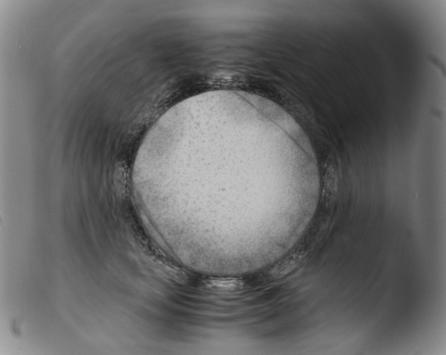 X0000103480659200810241039