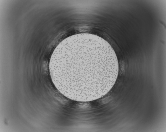 X0000103480667200810241039