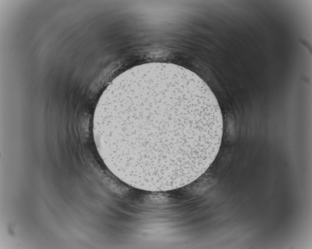 X0000103480668200810241039
