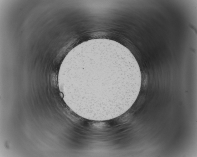 X0000103480669200810241039