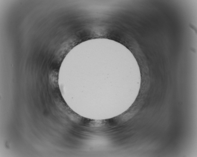 X0000103480672200810241039