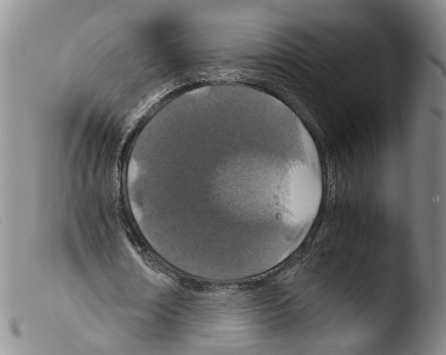 X0000103480674200810241038