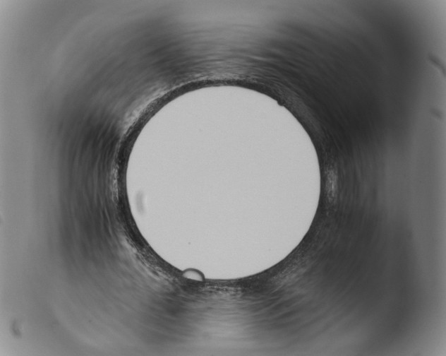 X0000103480676200810241038