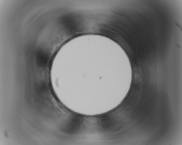 X0000103480677200810241038