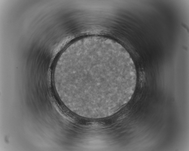 X0000103480678200810241038