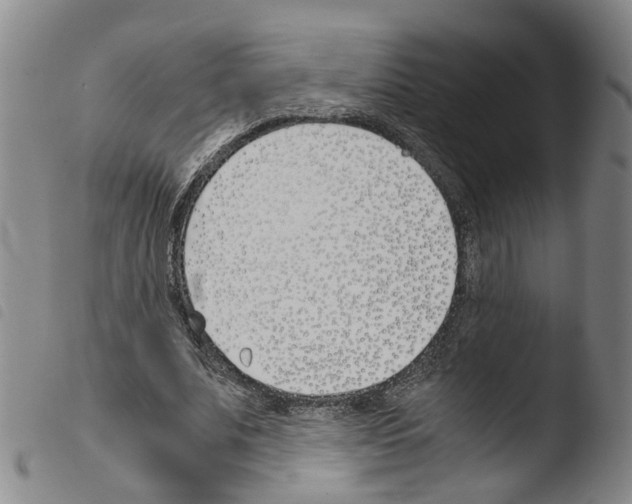 X0000103480679200810241038