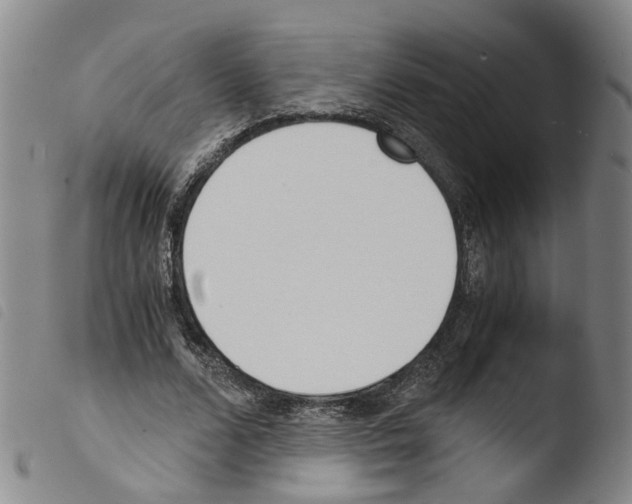 X0000103480680200810241038