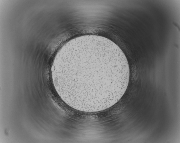 X0000103480683200810241038