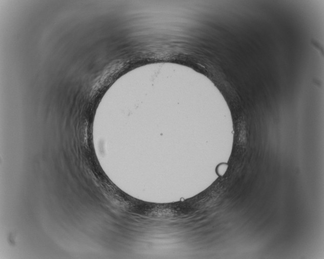 X0000103480685200810241038