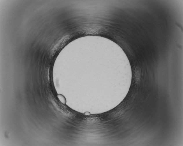 X0000103480686200810241038