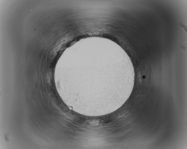 X0000103480687200810241038