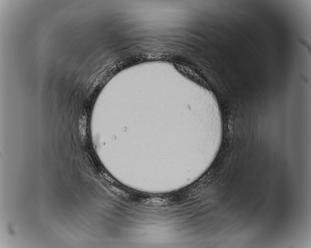 X0000103480691200810241038