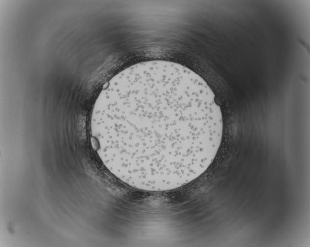 X0000103480696200810241038