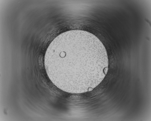 X0000103480699200810241038