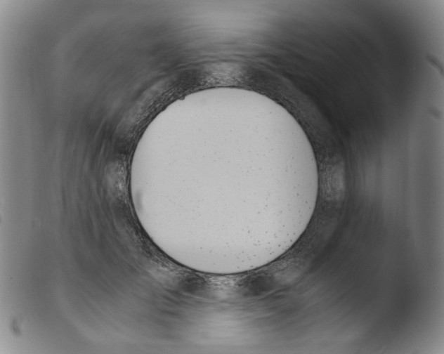 X0000103480701200810241038
