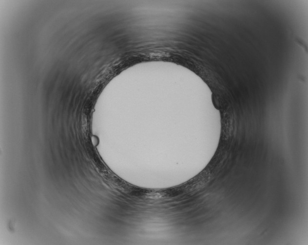 X0000103480704200810241038
