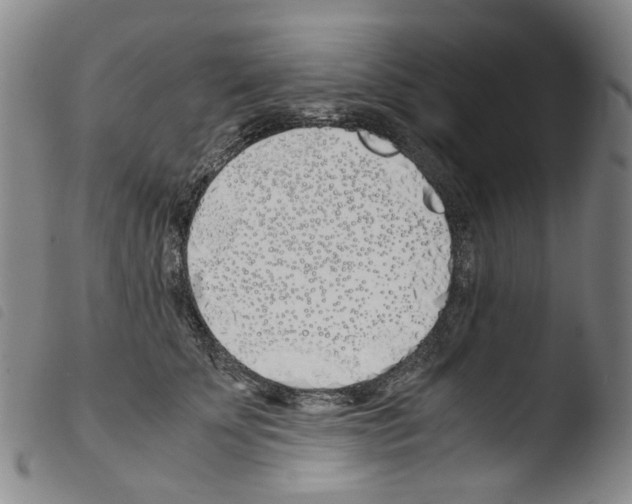 X0000103480707200810241038