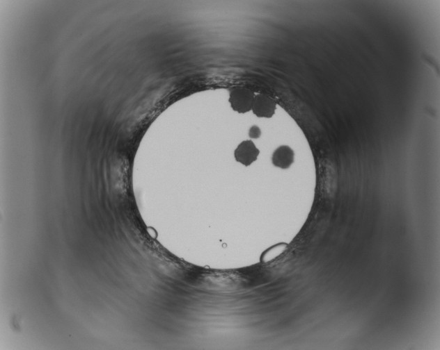 X0000103480712200810241038