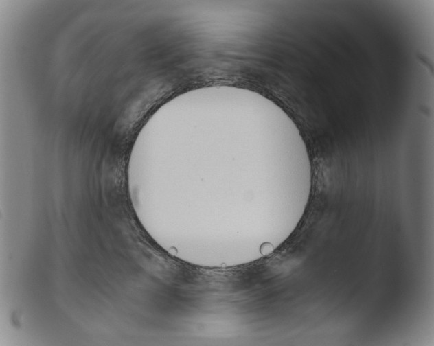 X0000103480713200810241038