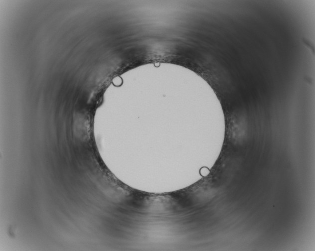 X0000103480716200810241038