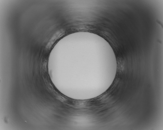 X0000103480717200810241038