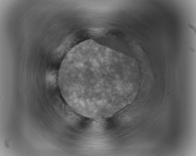 X0000103480720200810241038