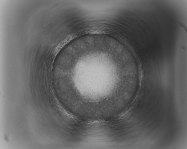 X0000103480721200810241037