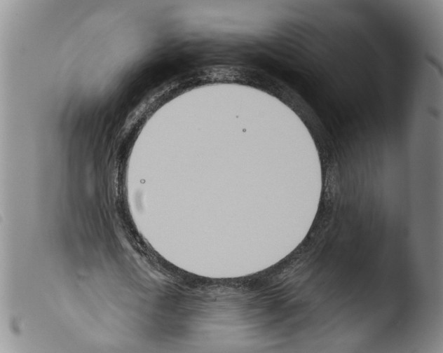 X0000103480722200810241037