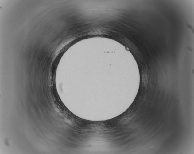 X0000103480724200810241037