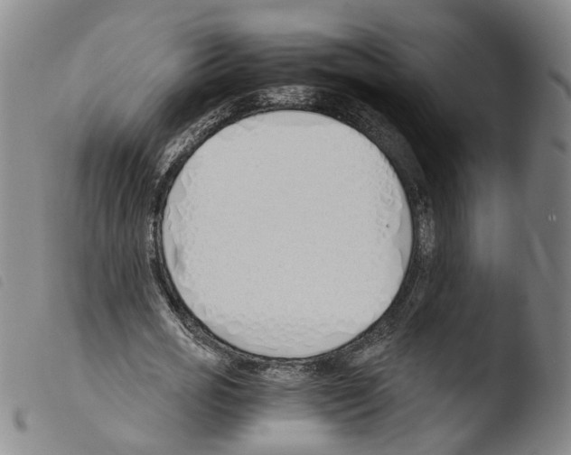 X0000103480725200810241037