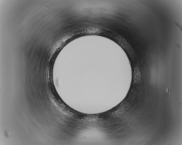 X0000103480726200810241037