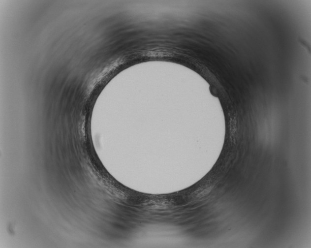 X0000103480727200810241037